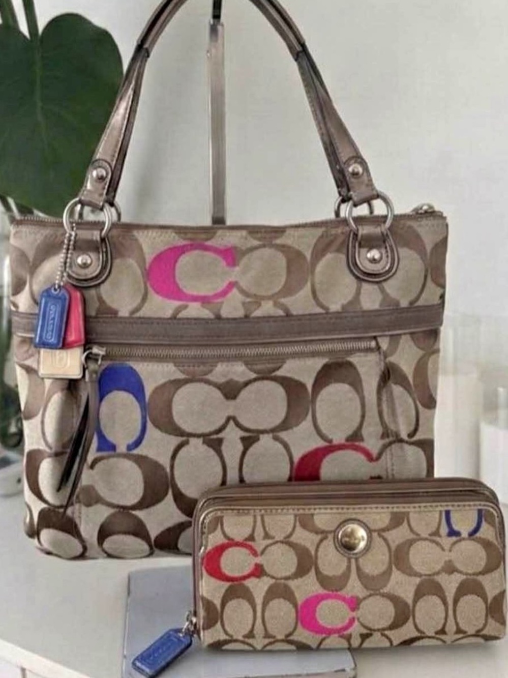 Coach Y2K tote & wallet set